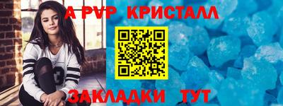 спиды Донской