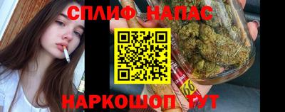 спиды Донской