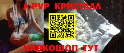 спиды Донской
