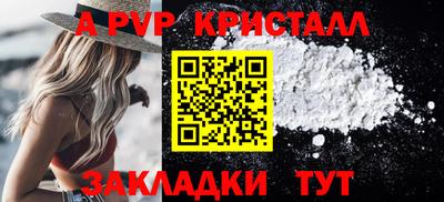 спиды Донской