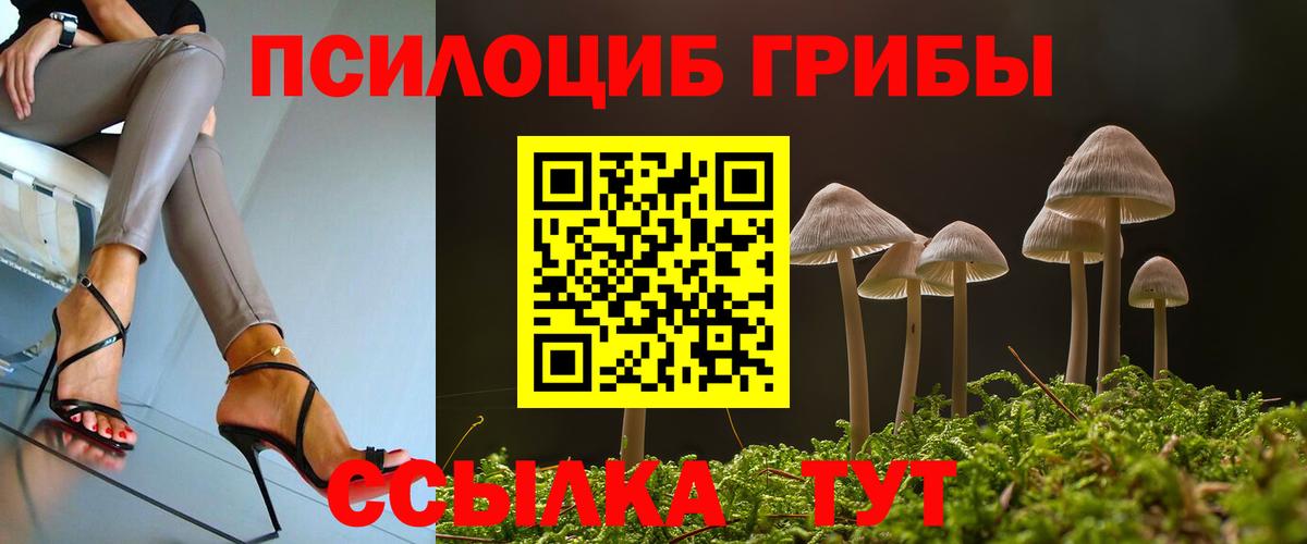 Мытищи  где продают наркотики  Вход с VPN  Псилоцибиновые грибы GOLDEN TEACHER 